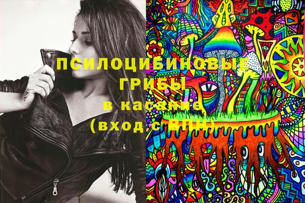 дурь Надым