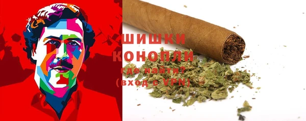 дурь Надым