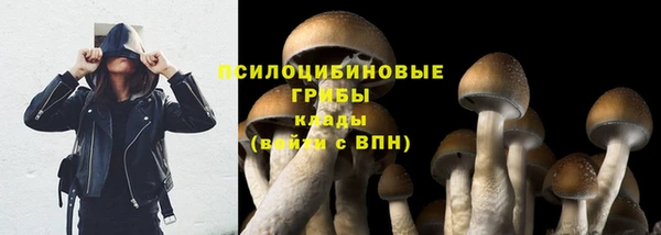 дурь Надым