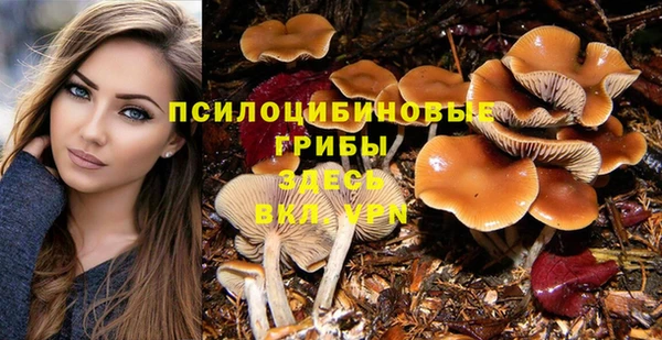 дурь Надым